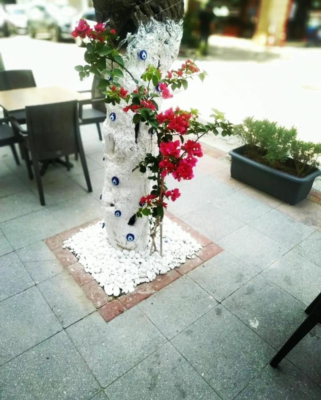 Punta Vista Hotel Izmir Eksteriør billede